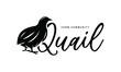 A Cute Quail vector Illustration - Creative logo, icon, symbol, badge, emblem for avian or partridge poultry