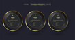 Luxury Golden multipurpose Infographic design template with three options and Premium golden version on a dark background with 3 golden Vector chart template.eps
