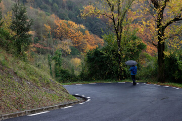 Wall Mural -  Autumn leaves background in the park