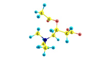 Poster - Acetyl-L-carnitine molecular structure isolated on white