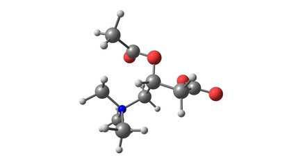 Poster - Acetyl-L-carnitine molecular structure isolated on white