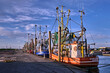 Krabbenkutter liegen im Hafen von Dorum-Neufeld an der Wurster Nordseeküste.