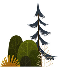 Green Simple Graphic Arts Tree And Bush, Thin Brown Trunk And Branches, Forest Plant Isolated On White. Vector Illustration Of Big Spruce With Foliage Round Shape, Landscape Element In Cartoon Concept