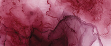 Alcohol Ink Texture. Fluid Bordo Abstract Background
