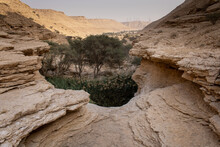 The Edge Of The Sha'ib Luha Canyon Above The Lower Pool, Riyadh Province
