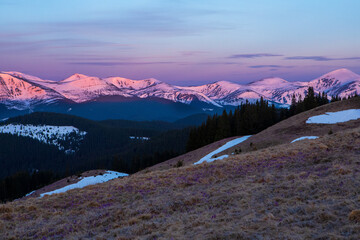 Wall Mural - Mountain tops in the morning light