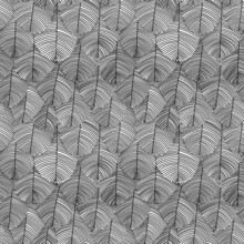 Seamless Black And White Pattern With Bird Feathers. Animal Ornamentation. For Backgrounds, Websites, Postcards, Wrapping Paper, 3D Textures