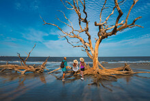 Family Standing On The Beach With Weathered Trees At Sunset. People Relaxing On The Beach. Driftwood Beach On Jekyll Island, Georgia, USA.