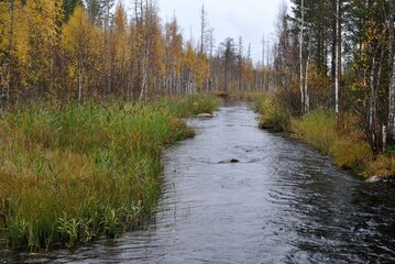 Canvas Print - Fishing on wild forest lakes and rivers, nature.