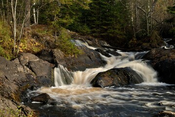 Wall Mural - Fishing on wild forest lakes and rivers, nature.