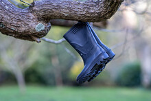 Close Up Of A Pair Of Black Wellington Boots Hanging In Tree
