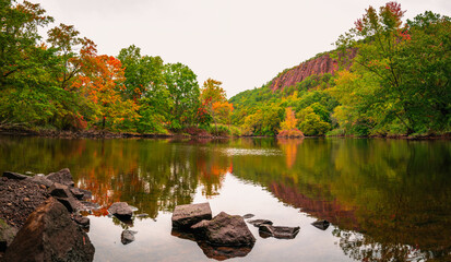 Wall Mural - Beautiful fall woodland with rocks and reflections in the river water. Tranquil autumn forest image with space for texts and design. Mill River landscape at East Rock Park in New Haven, Connecticut.