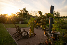The Garden At Sunset. View Of Kalanchoe Beharensis Succulent Plant In The Foreground, And The Park And Exterior Furniture Wooden Arm Chairs At Dusk. 