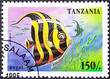 A Tanzania postage stamp shows angel fish underwater. Circa 1995. Canceled by seal...