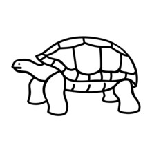 Galapagos Giant Tortoise Icon. Hand Drawn Vector Illustration.