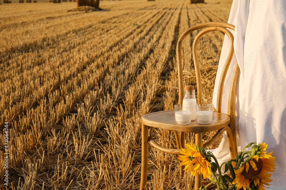 Natural milk on chair near haystack in harvested field. Picnic with chair, sunflowers, white fabric