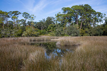 A View Of The Saltmarsh At Fort Mose Historic State Park.