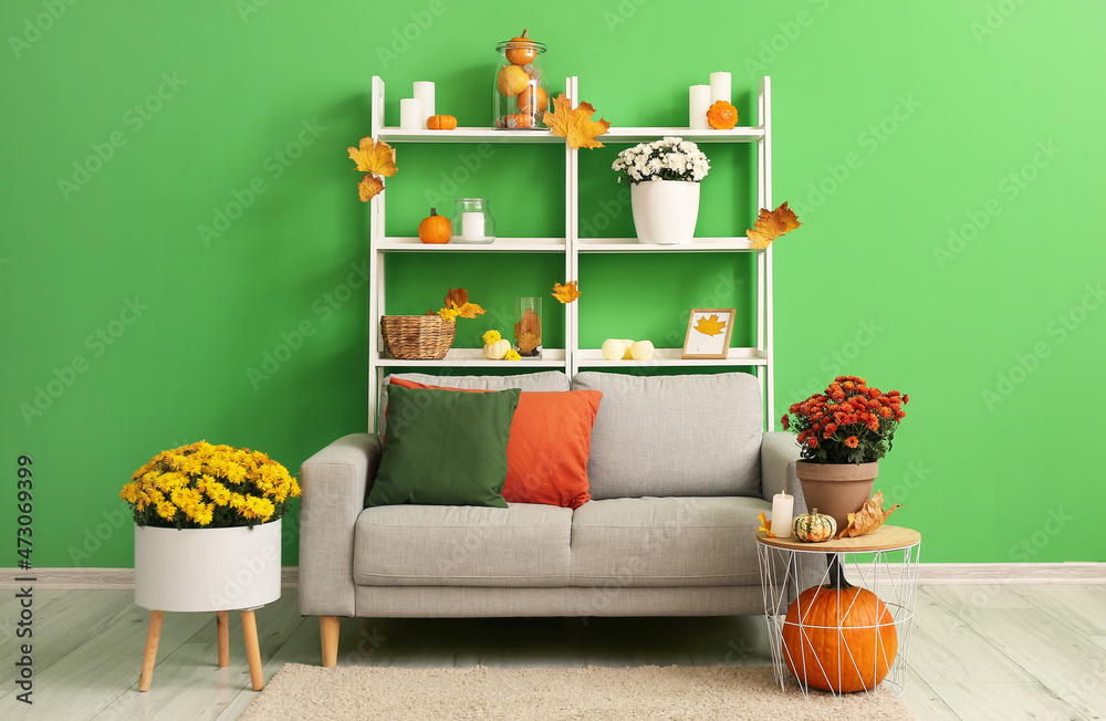 Comfortable sofa and beautiful Chrysanthemum flowers in room
