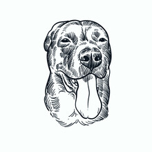 Vintage Hand Drawn Sketch Smile Dog