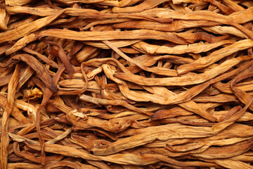 Sticker - Dried Lily Buds on white background