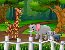 Illustration Of Giraffe And Elephants Walking In The Forest