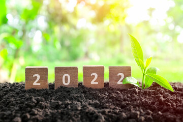 Poster - Year 2022 in wooden blocks cubes with growing plant. New year, hope, hello and brighter 2022 concept.	