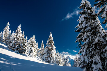 Wall Mural - Ski mountaineering in the Carnic Alps, Friuli-Venezia Giulia, Italy