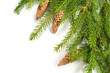 Christmas background. Branches of real spruce with cones isolated on white background. Fir Christmas Tree. New Year's spruce branches with needles. Close up flat lay view with copy space