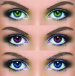 illustration set of a female eye with makeup