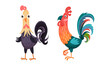 Roosters farm birds poultry breeding cartoon vector illustration