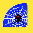pająk na niebieskim tle, pająk na sieci, czarna wdowa