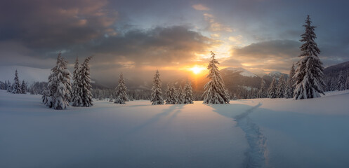Wall Mural - fantastic winter landscape panorama in snowy mountains glowing by evening sunlight. dramatic wintry 