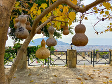 Decorative Lamps Made Of Dry Empty Pumpkin, Alanya, Turkey