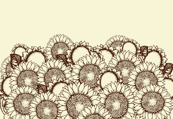 Canvas Print - Vector illustration. Sunflowers