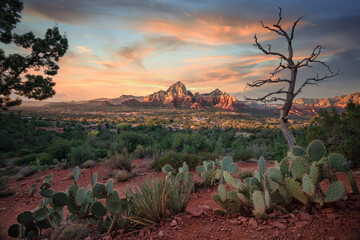 Sendona city with red rock background