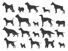 Pointer Dog Silhouette. Black Dogs Sizes And Breeds, Animals Silhouettes, Canine Companion, Small Puppy Size, Retriever Labrador Shepherd Dachshund Pug, Set Isolated Vector Icon