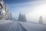 Fototapeta Na ścianę - pistes de ski enneigées et dans la brume sur le plateau de Chamrousse en Isère dans les alpes en france en hiver