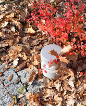 Fallen Oak Leaves Covered The Whole Earth And The Path Of Tiles. In The Foreground Is A Street Lamp Next To A Beautiful Red Bush