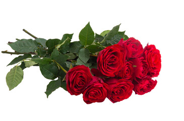 Poster - bouquet of red roses isolated