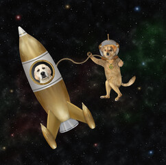 Canvas Print - A beige dog astronaut floats in outer space near a golden space rocket among the stars.