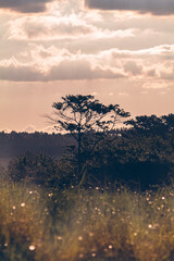 fotografia de área rural no interior de são paulo / photography of rural area in the interior of são