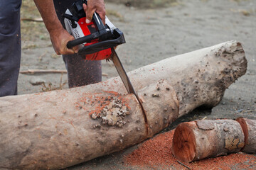 man with chainsaw cutting log