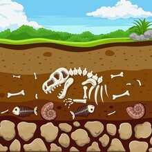 Cartoon Fossil Animals With Dinosaur, Fish, Bone And Shell