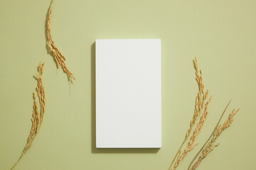 traditional food wheat with white podium in light green background with blank space for product advertising , traditional food content , top view