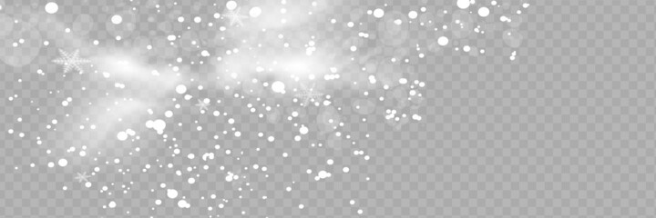 Poster - Vector snowfall isolated. Winter background. Snow overlay illustration. Snowflakes and ice.