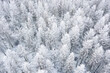 Winterwald im Harz aus der Vogelperspektive / Arerial view of winter forest