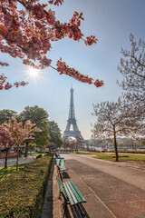 Fototapete - Eiffel Tower with flowering trees during springtime in Paris, France
