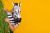 Fototapeta Konie - Photo of zebra guy in natural habitat hiding from bunch plant look empty space isolated over bright yellow color background