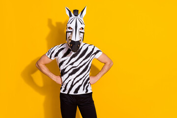 Sticker - Photo of bizarre incognito guy in zebra mask put hands waist isolated over bright yellow color background