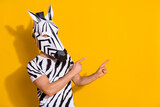 Fototapeta Fototapeta z zebrą - Photo of unusual guy in zebra mask point finger empty space demonstrate theme event promo isolated over yellow color background